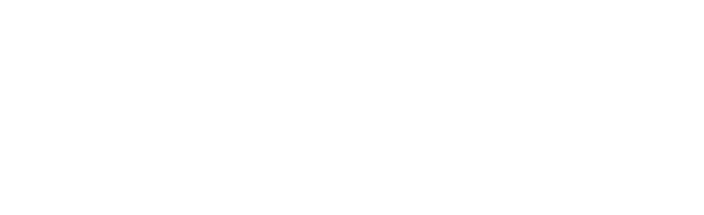 Việt Pháp Company